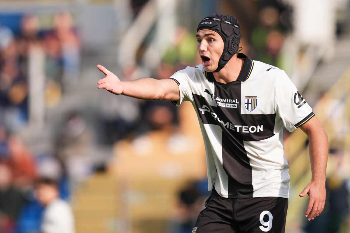 Mateo Pellegrino