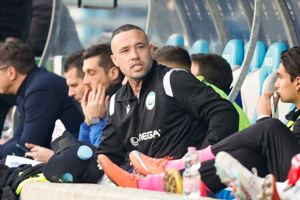 Radja Nainggolan